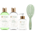KIT ANTICASPA Y CUERO CABELLUDO GRASO (con cepillo)